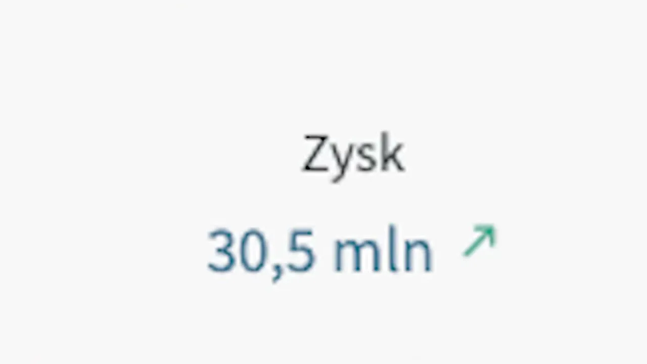 Zrzut z danymi spółki Wojan Group z rejestru: zysk 30,5 mln zł, pokazany w filmie Blowka