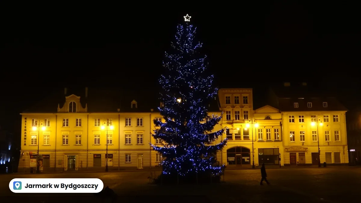 Rozświetlona choinka na Starym Rynku w Bydgoszczy nocą, w tle kamienice