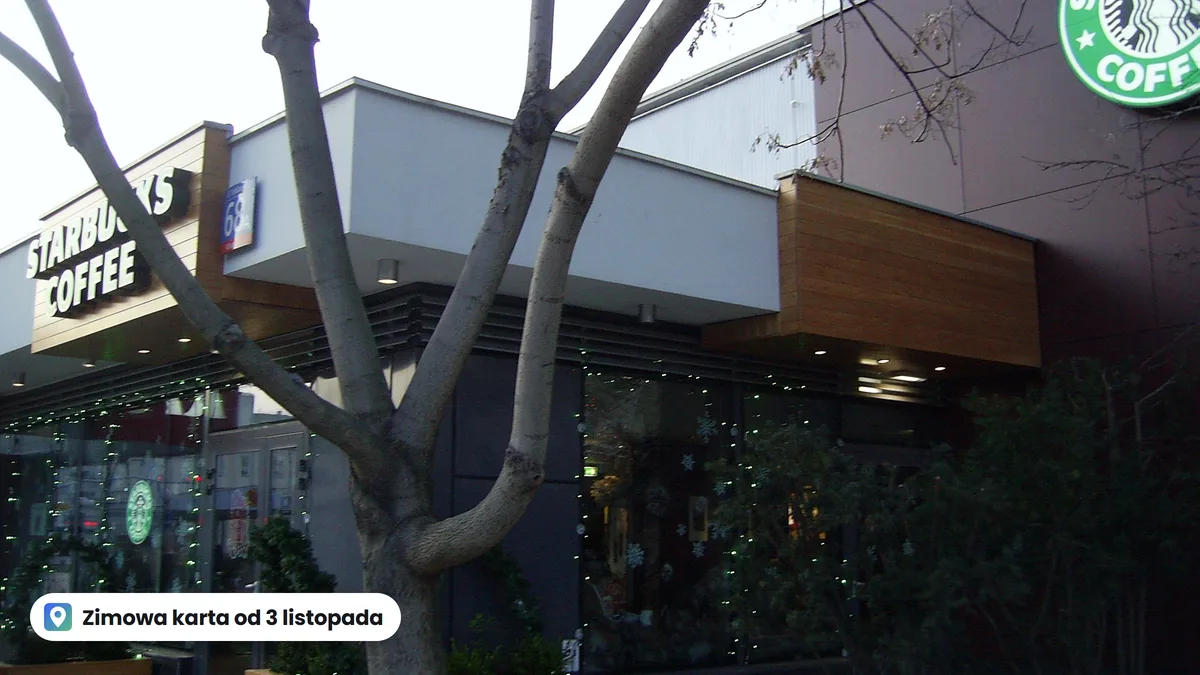 Kawiarnia Starbucks przy placu Bankowym w Warszawie z lampkami w oknach, przed nią drzewo bez liści